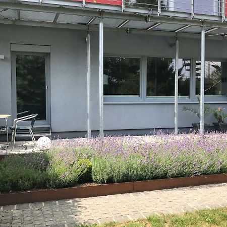 Wander- Und Aktivchalet Birkenfeld  Exterior photo